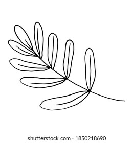 Botanical vector in line art or outline. Decoration element for design invitation, wedding cards, valentines day.