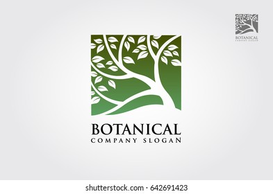 Botanical Vector Logo Illustration. Green tree Logo template. Clean and modern style on white background. The green tree square vector logo design