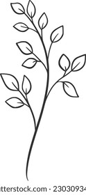 botanical vector, outline, illustration, nature, flower, summer
