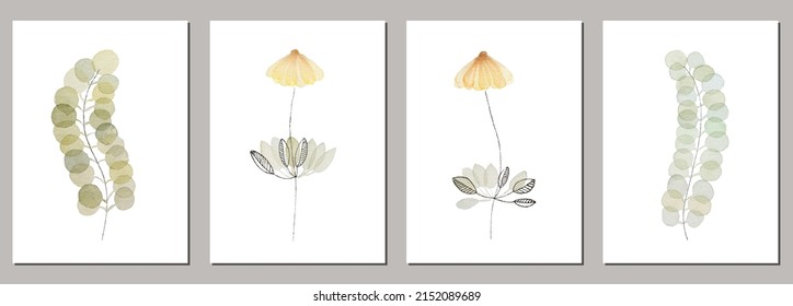 Botanical vector paintings set with flowers and leaves on white background. Natural eco herbs elements collection