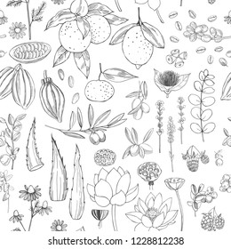 Botanical vector  pattern with hand drawn  plants . Organic cosmetics background. 