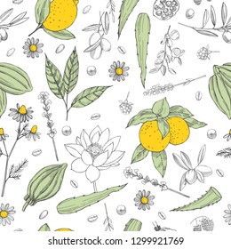 Botanical vector  pattern with hand drawn  plants . Organic cosmetics background. 