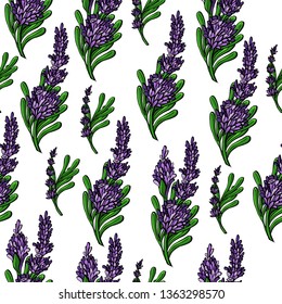 Botanical vector seamless pattern background with lavender flowers and branches. Isolated on white background. Perfect for wallpapers, web page backgrounds, surface textures, textile.