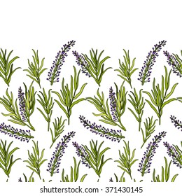 Botanical vector seamless pattern with French lavender Provence. You can change the background color