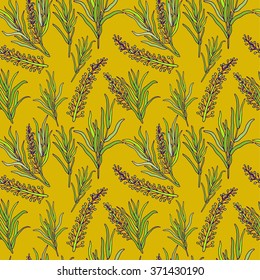 Botanical vector seamless pattern with French lavender Provence. You can change the background color