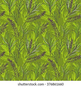 Botanical vector seamless pattern with French lavender Provence and rosemary. You can change the background color