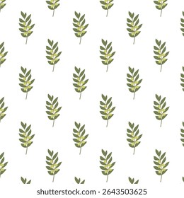 Botanical vector seamless pattern. Olive tree branches with fruits on a white background. Perfect for textiles and packaging of organic products