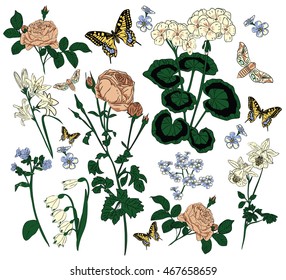 Botanical vector set