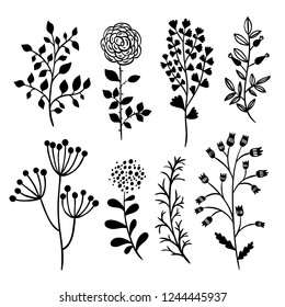 Botanical vector set. Beautiful elegant plants, herbs, flowers and floral elements on white background