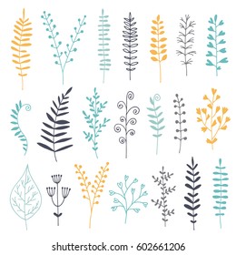 Botanical vector set, color illustration with drawn leaves, herbs and flowers, floral collection isolated on white background