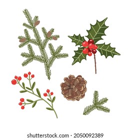 botanical vector set of fir branches, berries and cones. decor for new year holidays
