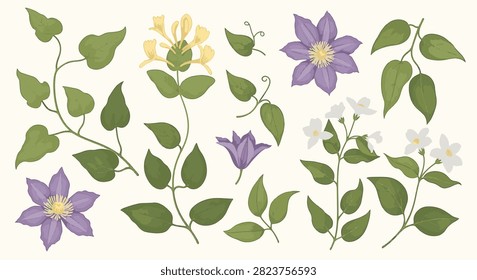 Botanical vector set of garden vine foliage including purple clematis flowers, yellow honeysuckle blossoms, white jasmine sprays, and various green leaf stems on a light background.