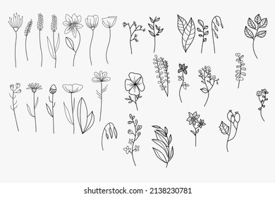 Botanischer Vektorset, Line-Art-Blumen auf weißem Hintergrund, Minimalismus-Blumenkollektion