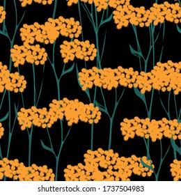 Textura sin soldadura de la tansia del vector botánico