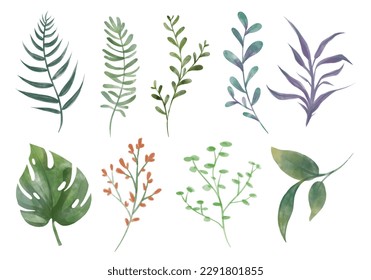 Botanical vector watercolor illustrations. Leaf and flower clipart. Set of green leaves, herbs, branches and Floral Design elements for wedding invitations, greeting cards, blogs and  posters.