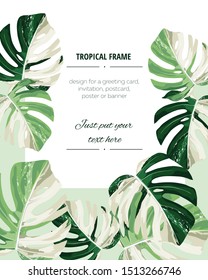 Botanical vertical banners with tropical monstera leaves on white. Design for cosmetics, spa, health care products, travel company. Can be used as summer background.