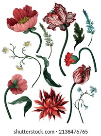 Botanische viktorianische Blumen und Insekten einzeln. Tulip, Peony und andere