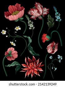 Botanische viktorianische Blumen und Insekten einzeln. Tulip, Peony und andere