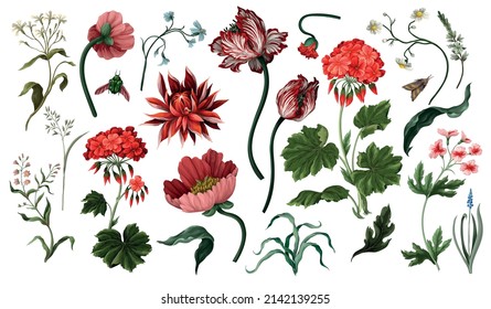 Botanical victorian flowers and bugs isolated. Tulip, peony and other
