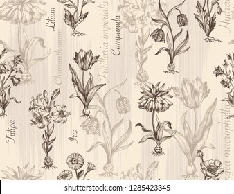 Botanical victorian seamless pattern for wrapping paper, textile and wallpaper. Engraved vintage style. Vector illustration.