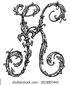 Botanical Vine Style, Letter K Initial