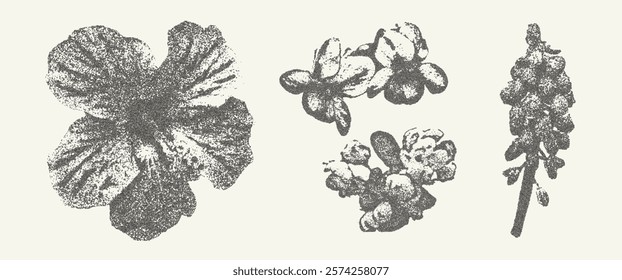 Botanical vintage elements. Photocopy effect stippling flower illustration