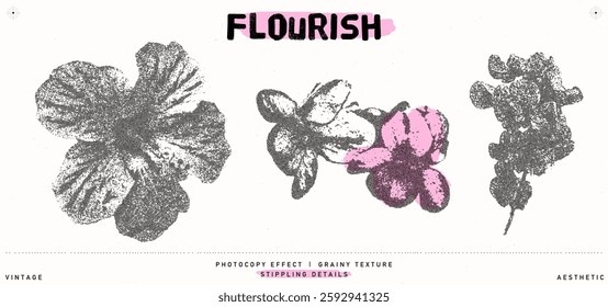 Botanical vintage elements. Photocopy effect stippling flower illustrations