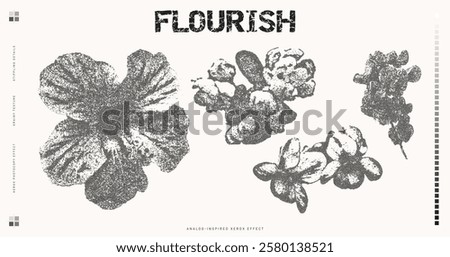 Botanical vintage elements. Photocopy effect stippling flower illustrations
