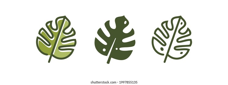 botanical wall art. abstract line of monstera leaf vector set logo icon illustration. Green tropical leaves drawing outline.