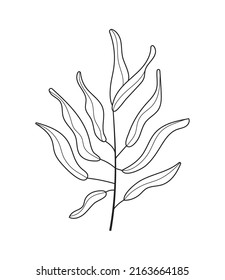 Botanical wall art abstract vectors. Boho branch vector in line art style. Ethnic tribal cactus in hand drawn style with bohemian ornament for wrapping paper, wallpaper, textile, logo, fabric. 