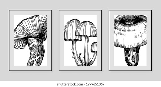Botanical wall art mushrooms vector set. Black and white color. Elegant nature shape art design for poster, print, cover, wallpaper. Minimal and natural wall art. 