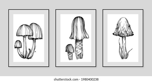 Botanical wall art mushrooms vector set. Black and white color. Elegant nature shape art design for poster, print, cover, wallpaper. Minimal and natural wall art. 