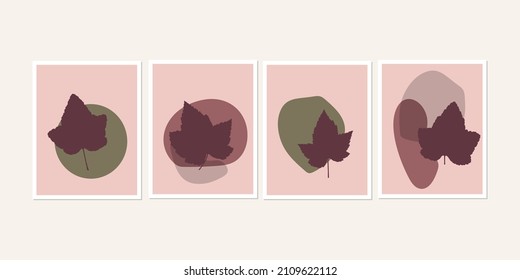 Botanical wall art posters collection. Set of realistic leaves, plants, herbs or flowers with abstract shapes in pastel colors. Artistic  nature art. Minimalist modern floral background.