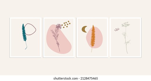 Botanical wall art posters collection. Set of realistic leaves, plants, herbs or flowers with abstract shapes in pastel colors. Artistic nature art. Minimalist modern floral background.