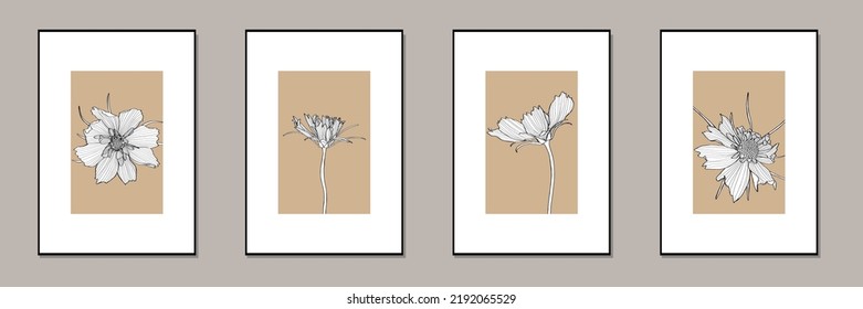 Botanical wall art set. Cosmos flower, abstract line art drawing. Abstract Plant Art design for print, cover, wallpaper, Minimal and natural wall illustration. 