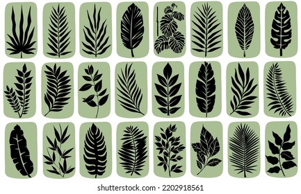 Paredes botánicas. Muros de arte minimalistas y naturales. Dibujo de líneas de follaje boho con forma abstracta. Resumen Diseño de arte vegetal para impresión, tapicería, portada. Ilustración moderna.