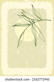 Botanical wall art tropical illustration. Foliage line art drawing with retro and abstract shape. Grunge Plant Art design for print, cover, wallpaper, Minimal and natural wall art.