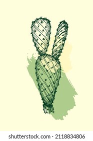 Botanical wall art vector of cactus. Floral succulent plants. Boho Foliage line art drawing with abstract shape. Abstract plant art design for print, cover, wallpaper, minimal and natural wall art.