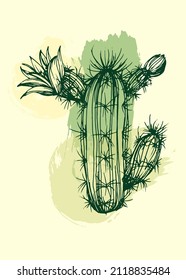 Botanische Wandkunst Vektor der Kaktus. Blumensukkulente Pflanzen. Boho Foliage Linie Kunstzeichnung mit abstrakter Form. Abstraktes Pflanzendesign für Druck, Deckel, Tapeten, minimale und natürliche Wandkunst.