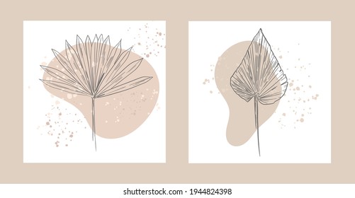 Botanical wall art. Vector Dried Sun Fan Palms. Small Pampas Grass. Bohemian cream flowers. Dry hydrangea. Dried flower bunches, BLUSH Dry preserved