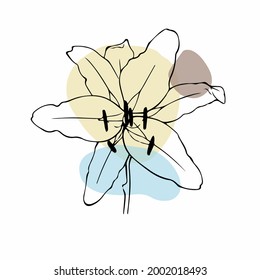 Botanical wall art vector. Earth tone flower line art drawing