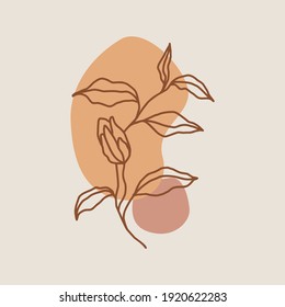Botanical wall art vector. Floral and Foliage line art drawing with abstract shape. Abstract Plant Art design for print, cover, wallpaper, Minimal and natural wall art. Vector illustration.