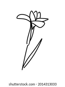 Botanical wall art vector. Foliage line art drawing. Abstract Plant Art design for print, cover, wallpaper, Minimal and natural wall art. Vector illustration.