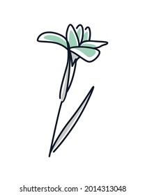 Botanical wall art vector. Foliage line art drawing. Abstract Plant Art design for print, cover, wallpaper, Minimal and natural wall art. Vector illustration. Vector EPS10