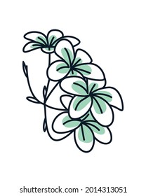 Botanical wall art vector. Foliage line art drawing. Abstract Plant Art design for print, cover, wallpaper, Minimal and natural wall art. Vector illustration. Vector EPS10