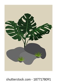 botanical wall art vector minimalis for decoration, poster etc illustration