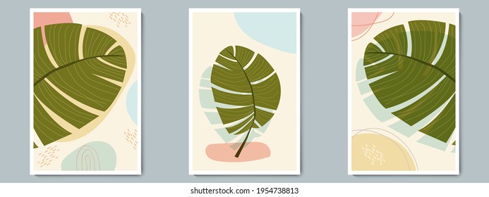 Botanical Wall Art Vector Poster Spring, Summer Set. Minimalist Tropical Plant with Abstract Shape and Line Pattern