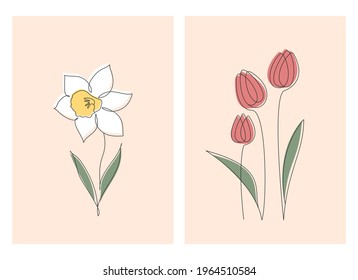 Botanical wall art vector set. Foliage line art drawing of daffodil and tulip flowers. Abstract Plant Art design for print, cover, wallpaper, Minimal and natural wall art. Vector illustration.