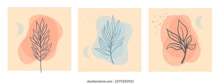 Conjunto de vectores de arte mural botánico. Dibujo estético de línea de follaje con formas orgánicas abstractas. Diseño de planta de arte para impresión, cubierta, papel pintado. Diseño minimalista y natural.