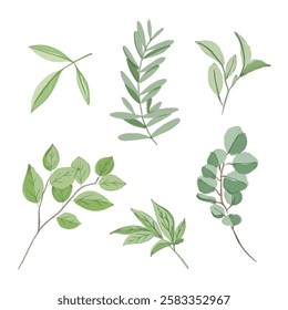 Botanical Watercolor Greenery Set, beautiful hand-drawn botanical illustration featuring various green leaves. Perfect for invitations, wedding designs, branding, packaging, and digital projects